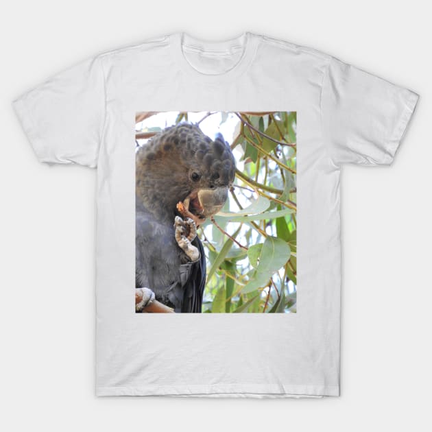 Black Cockatoo T-Shirt by kirstybush